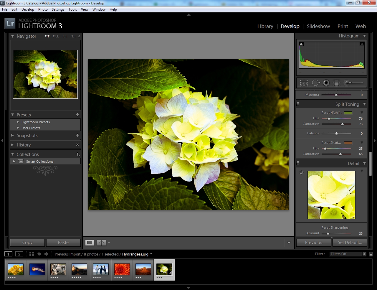 photoshop lightroom 3 download